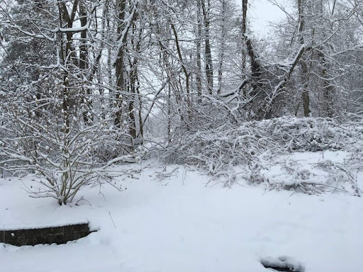 Storms in mid-January left New Jersey covered in snow and ice. 
