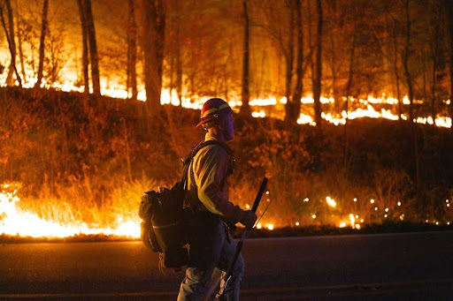  “Mammoth N.J. Wildfire That Left 1 Firefighter Dead Continues to Grow.” (NJ.com)