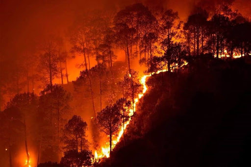 California Wildfires demolishing the area (calmatters.org)
