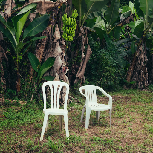 The cover of Bad Bunny’s new album DtMF. Photo Source: Apple Music 