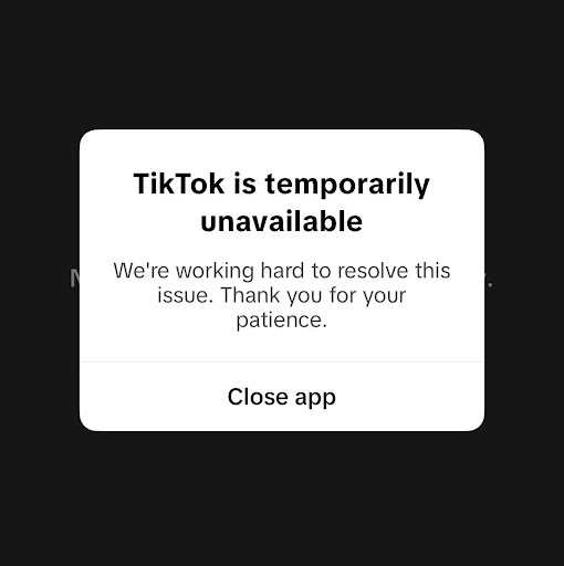 Notification from TikTok on January 18th (TikTok)