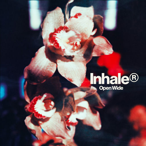 Cover art for Open Wide shot by Niel Krug (Photo credit: Spotify)