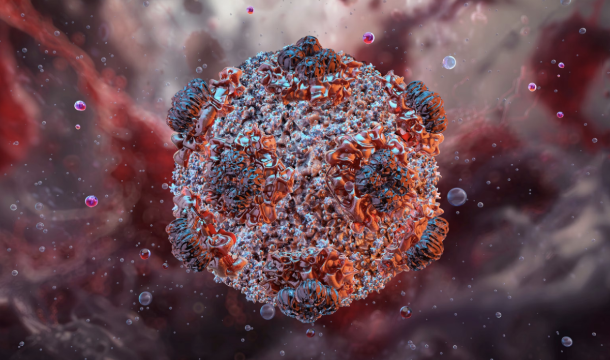 An illustration view of a spherical Hantavirus particle (National Geographic)